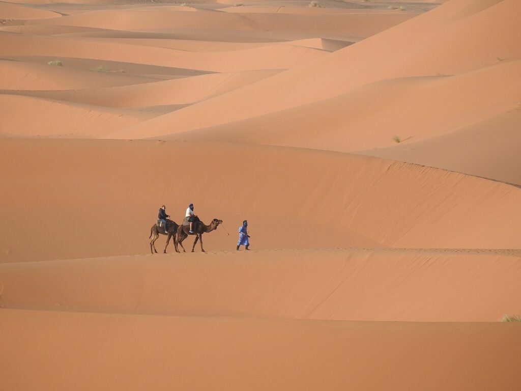 圖為沙丘群上的駱駝與遊客。