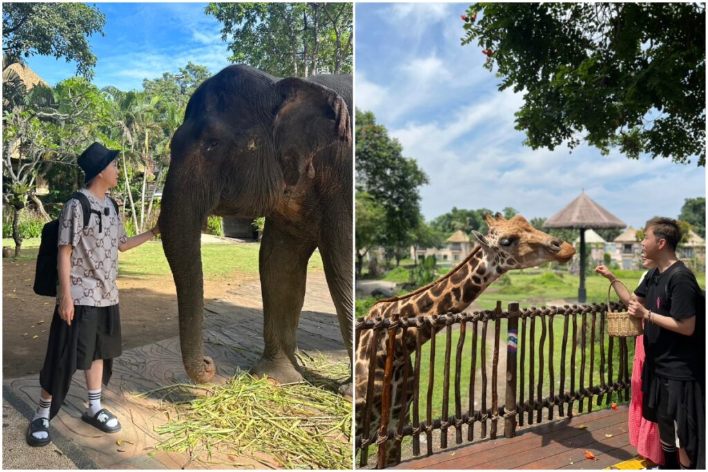 「MARA RIVER SAFARI LODGE」馬拉河野生動物園旅館隨處可與大象、長頸鹿等動物們近距離接觸。