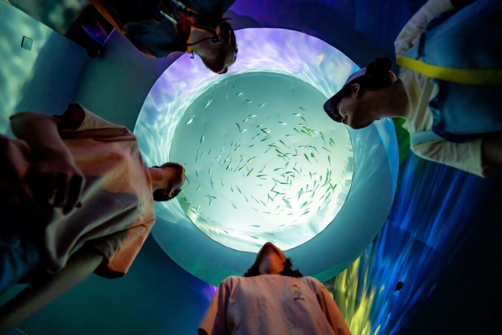 水波粼粼的「保育水世界」展區，仰角化身為魚體驗海洋世界。（屏東海生館提供）