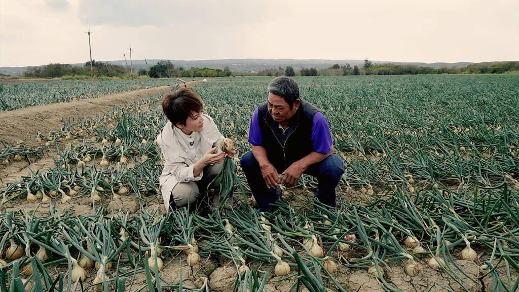 陳雅琳（左）走訪恆春洋蔥田，帶領觀眾看見無形的「風收」如何轉化為有形「豐收」。